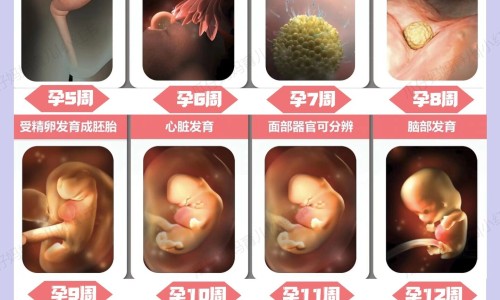 白血症有什么症状表现-白血症早期症状有哪些,中国白血症最初症状网站